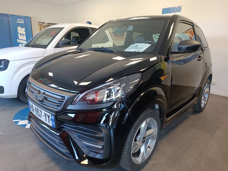 voiture sans permis liger