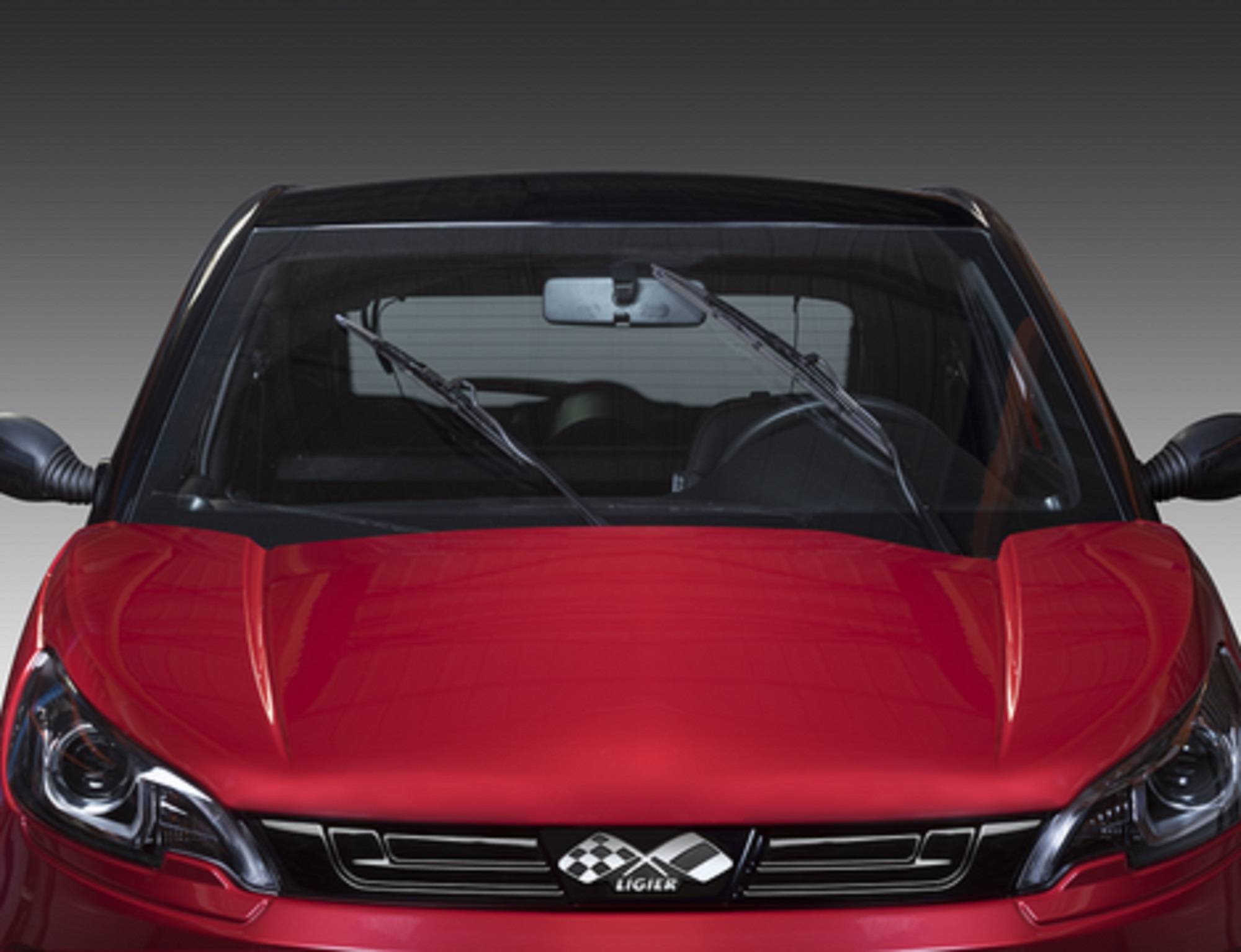 voiture sans permis liger