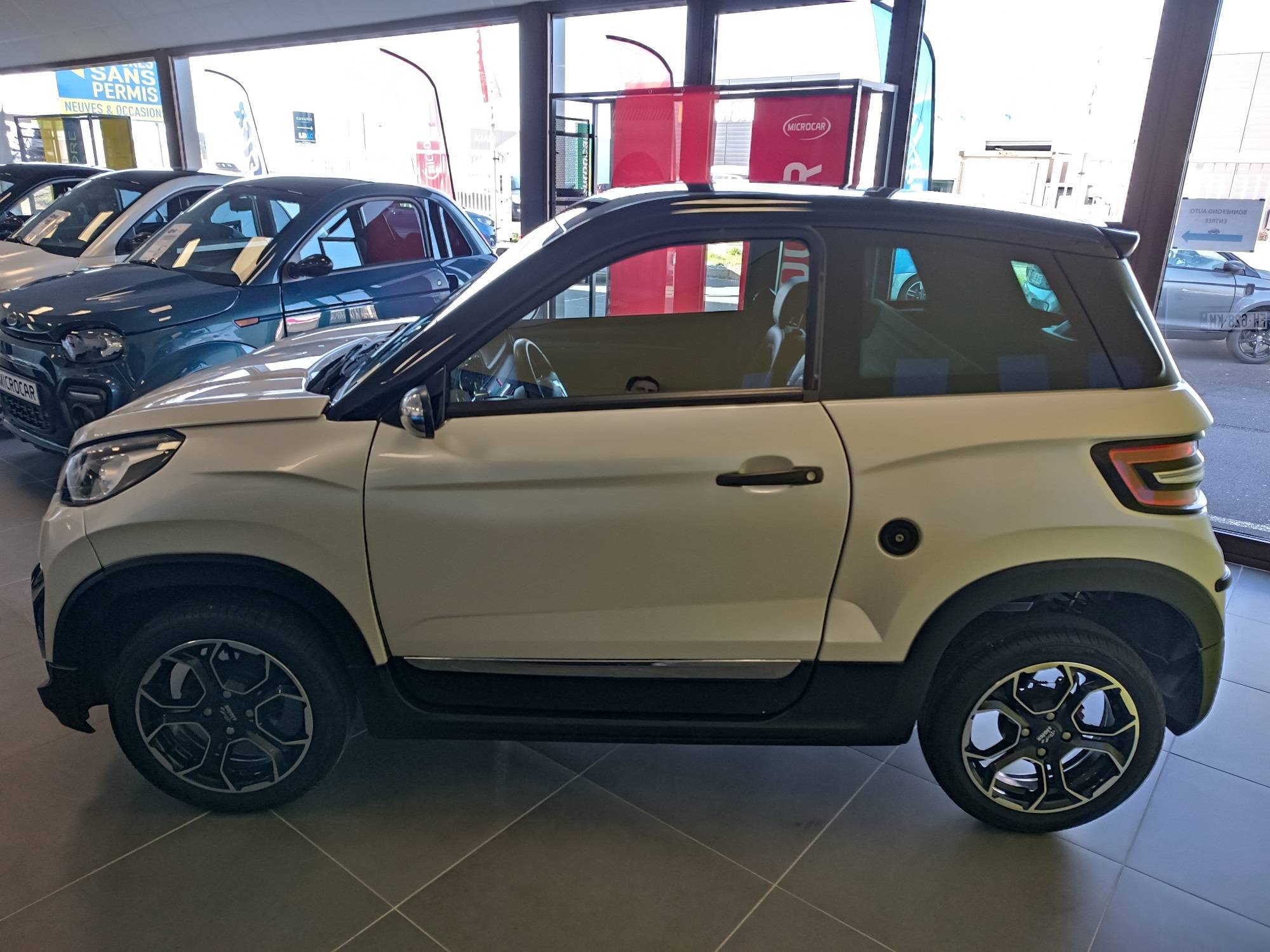 voiture sans permis occasion