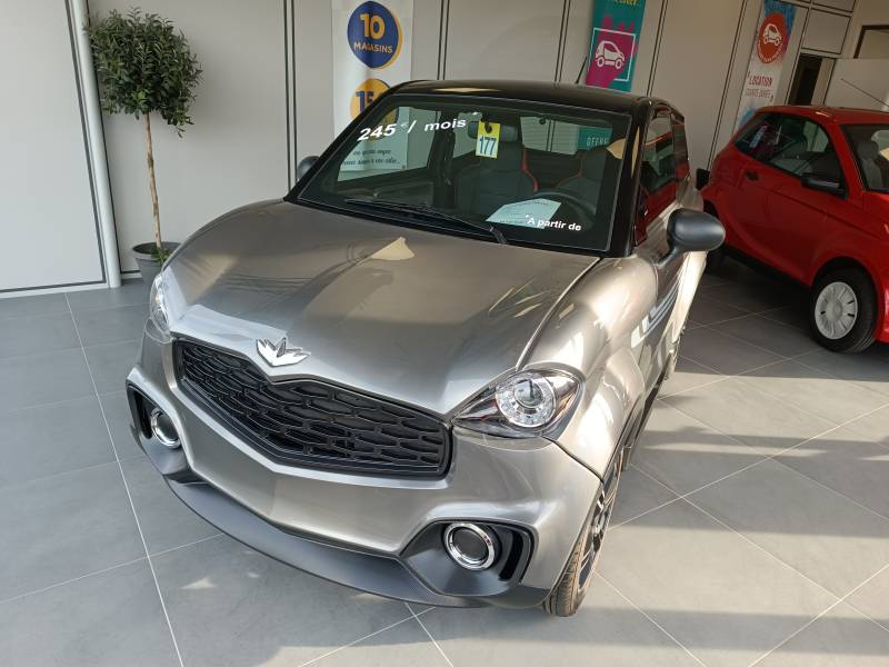 conduire une voiture sans permis à Lyon