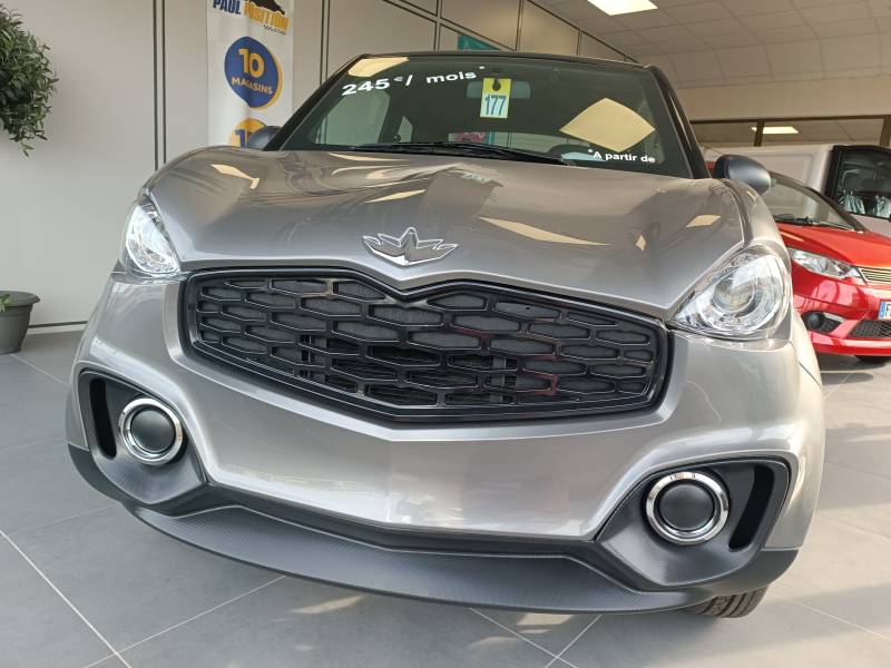 VOITURE SANS PERMIS A LYON