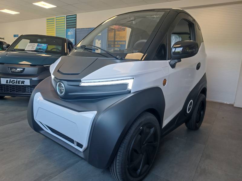 VOITURE sans permis electrique à Bourg en bresse