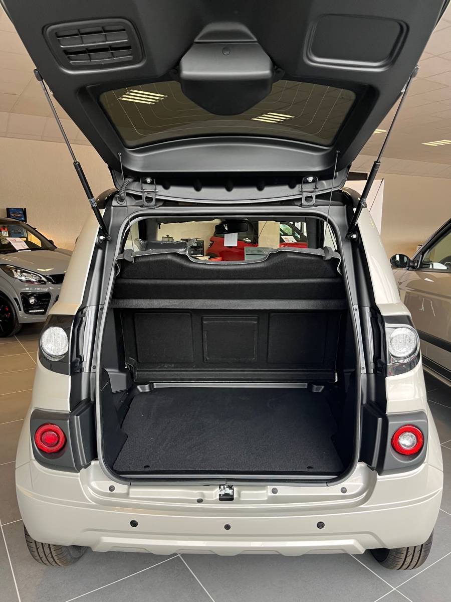 voiture sans permis lyon