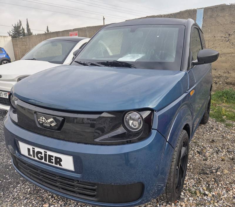 Ligier Myli E.PIC Disponible rapidement