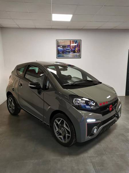 La grande voiture sans permis